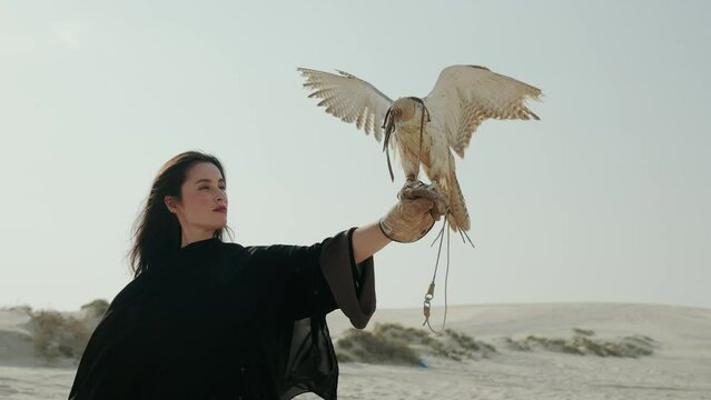 woman interacting with Qatari Falcon bird in Doha Qatar desert
