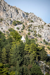 Mimice church bell tower barely visible in dense pine tree forest beneath steep Dinara mountain cliffs, Croatia