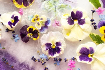 Fototapeten Summer background of frozen flowers in ice, colorful pansies and geraniums, lavender and Verbena © pundapanda