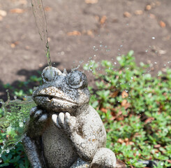 jet of water flows on a stone frog....