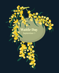 Celebrate spring Wattle day. September 1st - obrazy, fototapety, plakaty