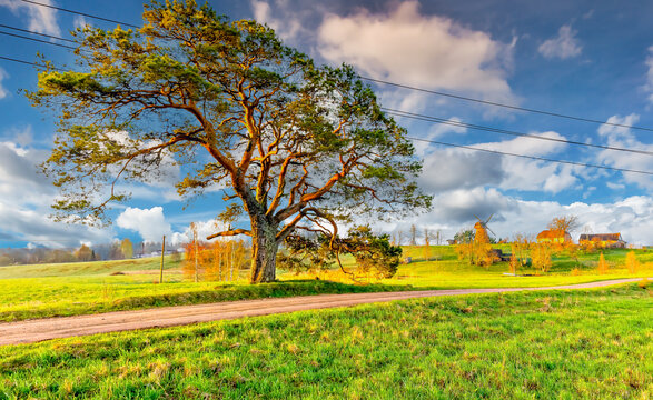 Countryside Landscape With Agricultural Field, Old Windmill, Electric Power Lines - Symbolizing Climate Control, Nature Conservation, Carbon Neutral Power Engineering And Sustainable Living Resources