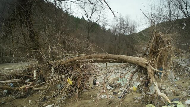 Plastic bags tangled in the branches of a tree on the river bank. Environmental pollution with garbage.
