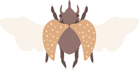 Magic night insect, butterflie, moth, beetle are flying