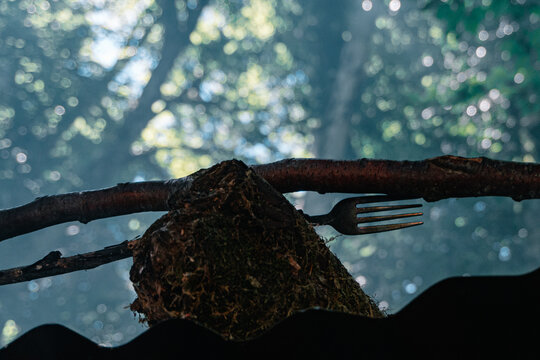 rudimental fork for grilling over rustic shack. Monti Lucretili Natural Park. Lazio, Italy