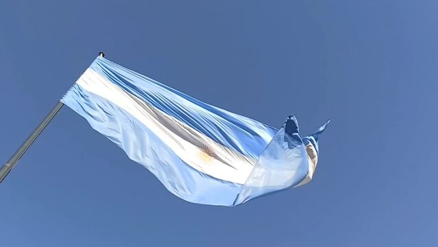 Bandera Argentina flameando con cielo azul. mucho viento ondea la bandera.