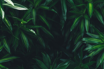 Closeup of green leaves in dark tones as natue background using as wallpaper background and cover page concept.