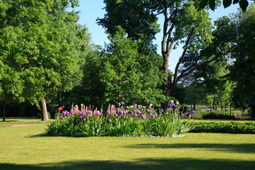 Landscape with a park on a sunny summer day.