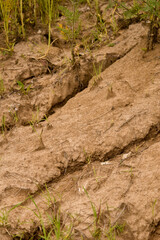 Erosion Close-up 