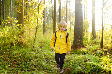 School child with backpack is hiking and exploring nature in the forest. Little boy travel in the...
