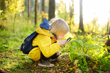 Preschooler boy is exploring nature with magnifying glass. Little child is looking on leaf of fern...