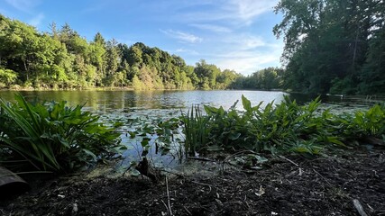 Bloomfield Hills, Michigan, USA - June 30 2022: Johnson nature center in summer