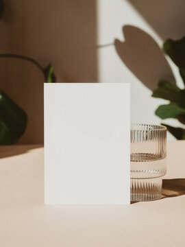 Blank paper sheet cards mockup, glass and plant shadow