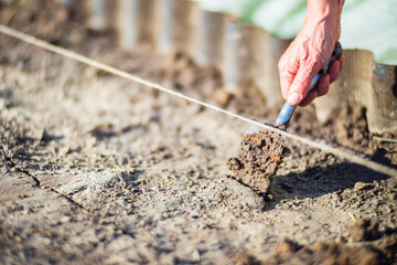 Human hands prepare the soil for planting crops in the garden. Cultivated land close up. Gardening concept. Agriculture plants growing in bed row