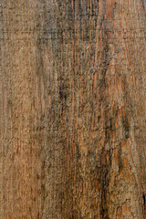 Fototapeta premium New Wood Grain 2