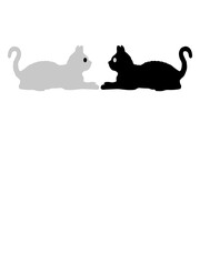 Yin Yang Katzen Team 