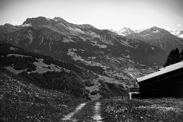 A cabin in the alps in black and white