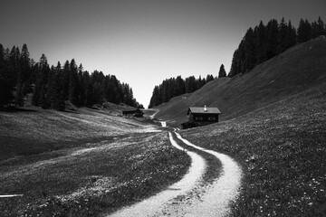 A cabin in the alps in black and white