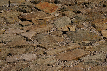 Lessinic stone on the slope of a Dutch seawall