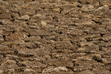 Vilvoorde stone on the slope of a Dutch seawall