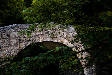 Fototapeta na wymiar An old bridge in nature leading over a river in the french part of switzerland