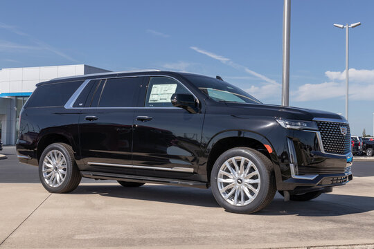 Cadillac Escalade display. Cadillac offers the Escalade in Luxury, Sport and Premium models.