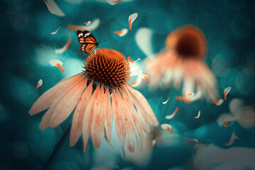 Pomarańczowy bajkowy motyl na kwiatach jeżówki. Bajkowe ogrody.