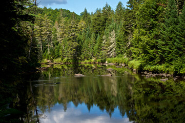Beautiful morning view of boreal forest and pine trees reflecting in the au sable river in upstate new york.