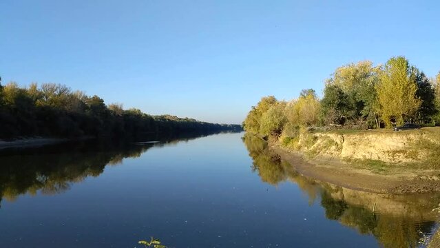 beautiful video with a calm river flow and a wooded shore. autumn forest covered with leaves of golden color. clear deep sky from above