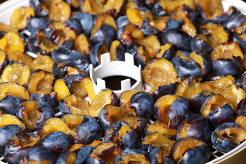 halves of plums are laid out on a tray for drying