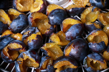 halves of plums are laid out on a tray for drying