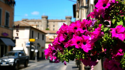 Fototapeta na wymiar Blurred view of the Bracciano castle from the center of the Lazio town. with vase of pink flowers in focus in the foreground. city known for overlooking the lake of the same name on a sunny day