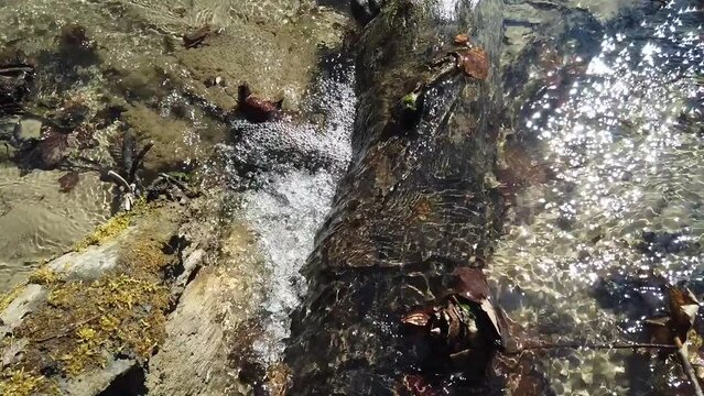 Stream in the forest. Shooting in the spring.