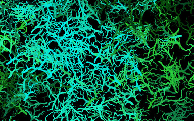 Dark Green vector doodle backdrop with leaves, branches.