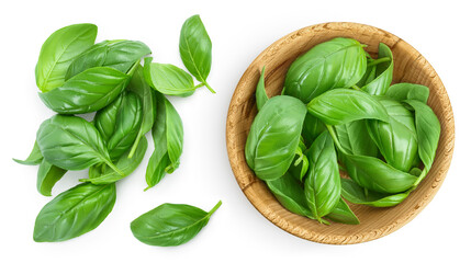 Fresh basil leaf in wooden bowl isolated on white background with full depth of field. Top view. Flat lay