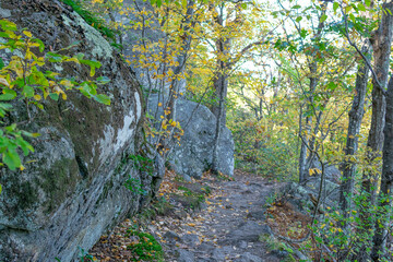 A trail in Shenandoah National Park outlined by Boulders