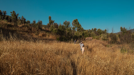 walking in the woods
