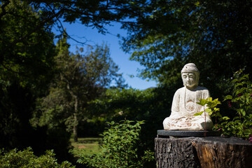 Buddha garden