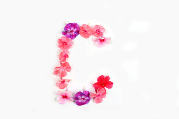 Letter C made from real fresh flowers. Floral font concept. Unique collection of letters and numbers for design. Spring, summer, autumn and valentines, creative idea, selective focus