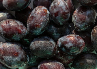 dark plums. plums in water drops