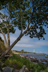 Küste mit Leuchtturm im Hintergrund (Ostsee)