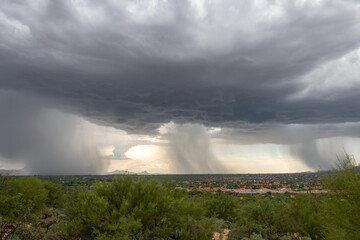 Monsoons in the Sonoran Desert with rain shafts or curtains coming down out of heavy dark gray clouds. Beautiful summer storm activity in the American Southwest. Pima County, Oro Valley, Arizona, USA.