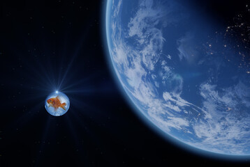 Fototapety na wymiar - Fototapeta24.pl