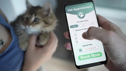Booking a Veterinarian Appointment Online for a Cat