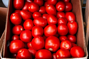 Lots of red tomatoes in a cardboard box. Sale of tomatoes at the farmers' market. Red ripe tomatoes. Close-up.