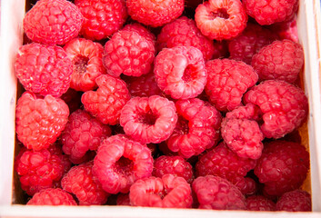 Background of ripe fresh raspberries. Close-up. Selling raspberries at the farmers market.