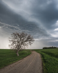 A lonely tree by the side of the road under a stormy sky