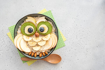 Kids breakfast porridge look like cute owl with fruits and nuts