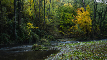 Gradac river in western Serbia in early autumn
