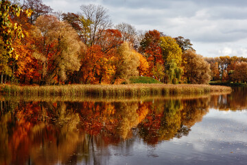 Beautiful autumn landscape in park with water and reflections, orange and yellow trees, fallen leaves and overcast cloudy sky
